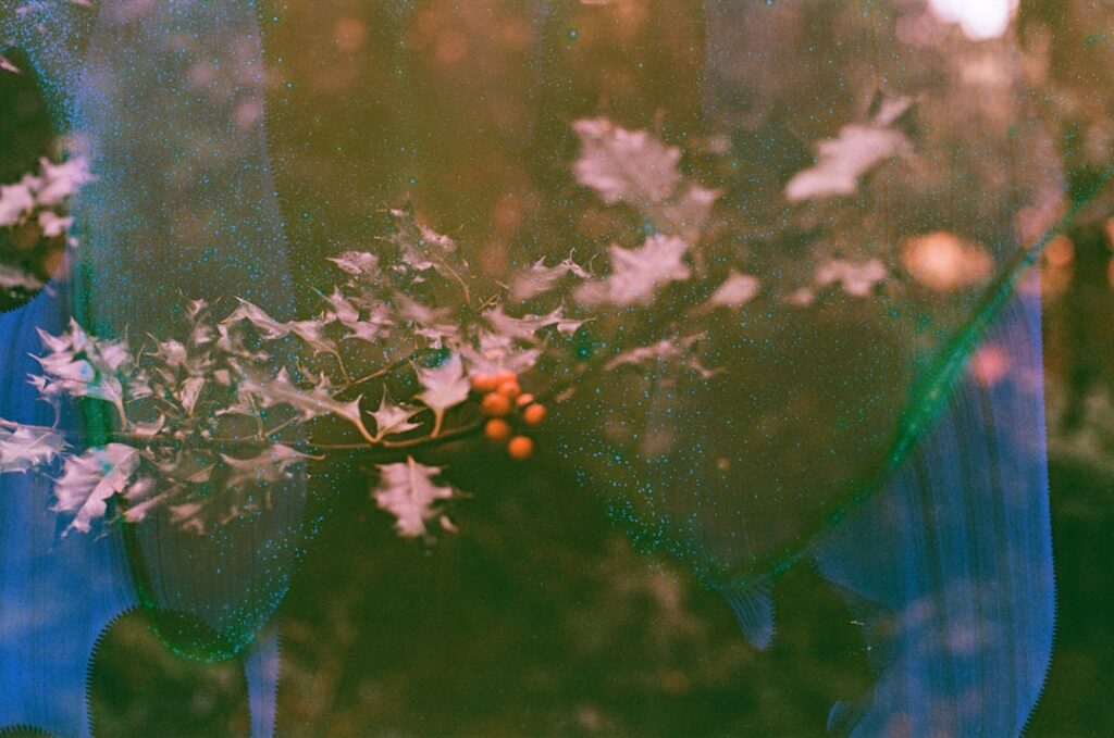 Wat je moet weten over telefoontje van +31 10 808 27 57