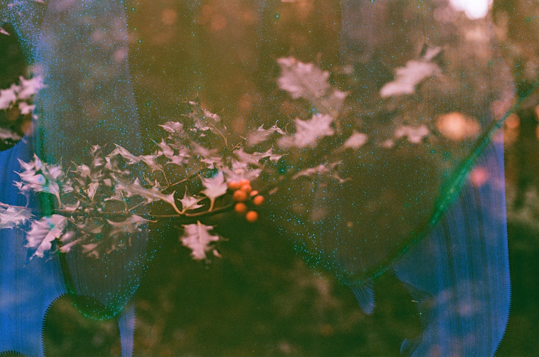 Wat je moet weten over telefoontje van +31 10 808 27 57