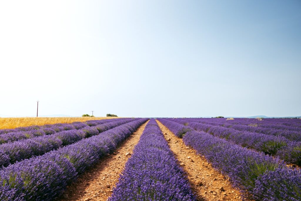 Frans Uyterlinde geeft je huis een frisse start met vtwonen